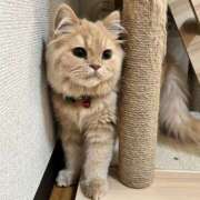 ヒメ日記 2026/02/07 07:53 投稿 ちほ Queen Angel(クイーンエンジェル)