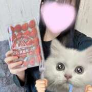 ヒメ日記 2026/04/10 19:16 投稿 マイ リッチドールなんば店