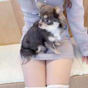 りんね おはよう土曜日 VIPクリスタル