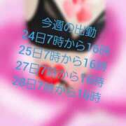 めぐひ ( ＾ω＾ ) バイオレンス