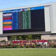 ヒメ日記 2026/04/26 12:21 投稿 りぼん 高級オナクラ　ひよこクラブ