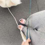 ヒメ日記 2026/05/12 18:21 投稿 りぼん 高級オナクラ　ひよこクラブ