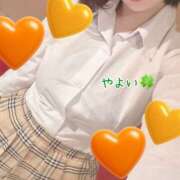 ヒメ日記 2026/03/07 12:08 投稿 やよい ドリーム水戸