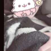 ヒメ日記 2026/02/23 17:56 投稿 花宮あい Aroma Resort(熊本)