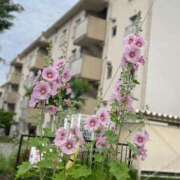 あき 体験入店3日目 奥様の実話 谷九店