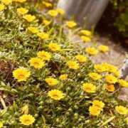 あき 金曜日 奥様の実話 谷九店