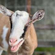 ヒメ日記 2026/02/28 21:14 投稿 あき 奥様の実話 谷九店