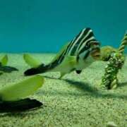 ヒメ日記 2026/03/17 09:36 投稿 あき 奥様の実話 谷九店