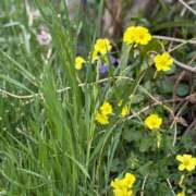 ヒメ日記 2026/04/02 16:47 投稿 あき 奥様の実話 谷九店