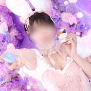 ヒメ日記 2026/03/12 06:34 投稿 光（ひかる） 男爵