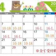 ヒメ日記 2026/03/20 09:15 投稿 光（ひかる） 男爵