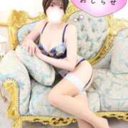 ヒメ日記 2026/06/12 20:00 投稿 光（ひかる） 男爵
