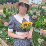 ヒメ日記 2026/07/20 09:45 投稿 光（ひかる） 男爵