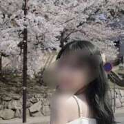 ヒメ日記 2026/04/09 12:08 投稿 咲宮れいか ウルトラロイヤル