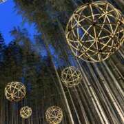 ヒメ日記 2026/02/13 08:39 投稿 ゆあ 茨城日立ちゃんこ