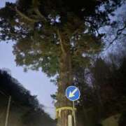 ヒメ日記 2026/02/13 22:09 投稿 ゆあ 茨城日立ちゃんこ