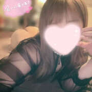 ヒメ日記 2026/02/28 12:01 投稿 しゅり ビギナーズ和歌山