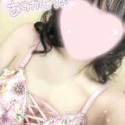 ヒメ日記 2026/04/19 23:01 投稿 しゅり ビギナーズ和歌山