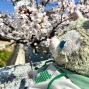 ヒメ日記 2026/04/05 17:02 投稿 ゆめ 水戸女学院PTA