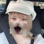 ヒメ日記 2026/04/05 20:45 投稿 ゆめ 水戸女学院PTA