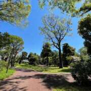 ヒメ日記 2026/04/08 13:34 投稿 ゆうり 泡の伝道師