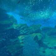 ヒメ日記 2026/04/21 16:34 投稿 ゆうり 泡の伝道師