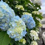 ヒメ日記 2026/06/03 23:54 投稿 ゆうり 泡の伝道師