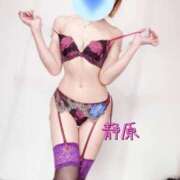 ヒメ日記 2026/02/16 16:26 投稿 静原(しずはら) 人妻出逢い会 百合の園 品川店