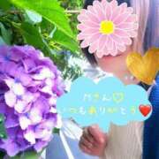 ヒメ日記 2026/06/10 18:16 投稿 静原(しずはら) 人妻出逢い会 百合の園 品川店