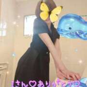 ヒメ日記 2026/07/11 18:16 投稿 静原(しずはら) 人妻出逢い会 百合の園 品川店
