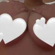 ヒメ日記 2026/03/29 11:37 投稿 みつは ジャパンクラブ富士