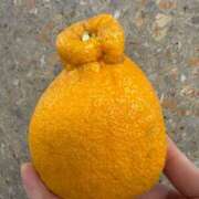 ヒメ日記 2026/02/12 21:39 投稿 田中 ひとみ キングアンドクイーン