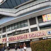 ヒメ日記 2026/03/03 17:45 投稿 田中 ひとみ キングアンドクイーン