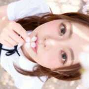 ヒメ日記 2026/03/29 17:47 投稿 葵-aoi- 品川エッセンス