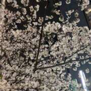 ヒメ日記 2026/04/03 22:42 投稿 葵-aoi- 品川エッセンス