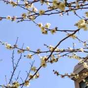 ヒメ日記 2026/02/22 10:44 投稿 【S】めぐ ウルトラセレブリティ