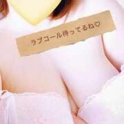 ヒメ日記 2026/02/19 11:49 投稿 はる 蒲田ちゃんこ