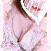 ヒメ日記 2026/02/23 08:19 投稿 はる 蒲田ちゃんこ