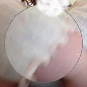 ヒメ日記 2026/02/23 16:29 投稿 はる 蒲田ちゃんこ