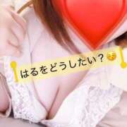 ヒメ日記 2026/02/25 19:09 投稿 はる 蒲田ちゃんこ