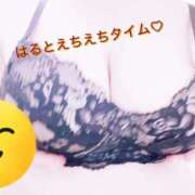 ヒメ日記 2026/02/26 07:29 投稿 はる 蒲田ちゃんこ