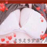 ヒメ日記 2026/02/26 12:19 投稿 はる 蒲田ちゃんこ