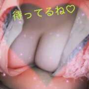 ヒメ日記 2026/02/27 16:29 投稿 はる 蒲田ちゃんこ