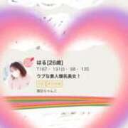 ヒメ日記 2026/03/03 18:49 投稿 はる 蒲田ちゃんこ