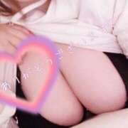 ヒメ日記 2026/03/05 18:09 投稿 はる 蒲田ちゃんこ