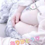 ヒメ日記 2026/03/07 18:29 投稿 はる 蒲田ちゃんこ