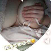 ヒメ日記 2026/03/14 19:29 投稿 はる 蒲田ちゃんこ