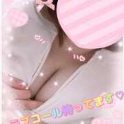 ヒメ日記 2026/03/16 15:02 投稿 はる 蒲田ちゃんこ