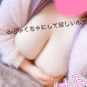 ヒメ日記 2026/03/20 13:59 投稿 はる 蒲田ちゃんこ