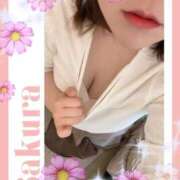 ヒメ日記 2026/03/23 14:39 投稿 はる 蒲田ちゃんこ